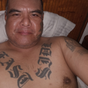 pimacanwilliams avatar