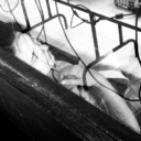 pimienta-rosa avatar