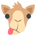 pimpmyycamel avatar