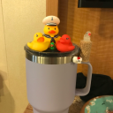 pin-down-rainbow avatar