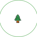 pine-crossing avatar