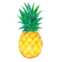 pineapple-discourse avatar