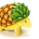 pineapple-facts avatar