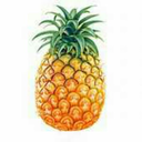 pineapple-flower235-blog avatar