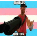 pineapple-temporarily-moving avatar