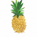 pineappleastronaut avatar