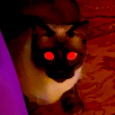 pineapplebitch152 avatar