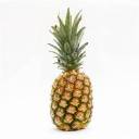 pineappleisgod avatar