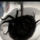 pineappleslush avatar