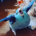 pinecone-byrd avatar