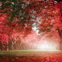 pinecone180-blog avatar