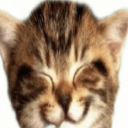 pinecone40404 avatar