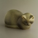 pineconespines avatar