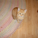 pines-enterprise avatar