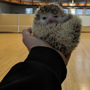 pinesandnines avatar