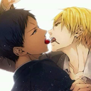 pingouinpapillon avatar