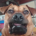 pingpongplaya avatar