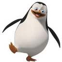 pinguindemadagascar avatar