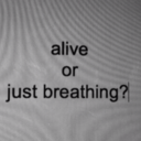 pink-1822-blog avatar