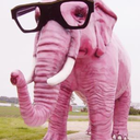 pink-elephantz avatar