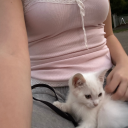 pink-fawn0413 avatar