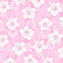 pink-lemonade-com avatar