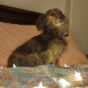 pink66p6layer avatar