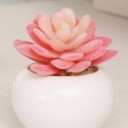 pinkalacarte avatar