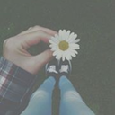 pinkalpacabird avatar