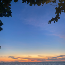 pinkcheekblush avatar