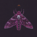 pinkdeathmoth avatar