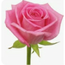 pinkfashionglitter avatar