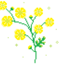 pinkfliyd-blog avatar