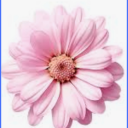 pinkfluffyfeathersvialondon avatar