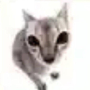 pinkgummyfish avatar