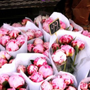 pinkkpeoniess avatar