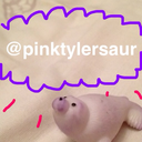 pinkktylersaur avatar