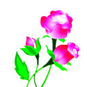 pinknpurplecupcakes avatar