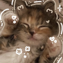 pinkparispetal avatar