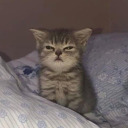 pinkpineapples007 avatar