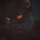 pinkpomeloandrose avatar