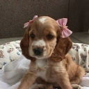 pinkprincess34 avatar