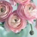 pinkprincessxoxouk avatar