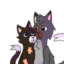 pinksillysock avatar