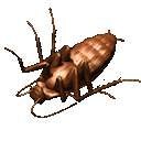 pinkstinkfish avatar