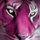 pinktiger1302 avatar