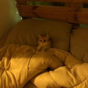 pinkwaffles96 avatar