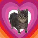 pinkwitchbolt avatar