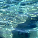 pinkycloudzkk avatar