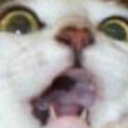 pinnacle-lane avatar